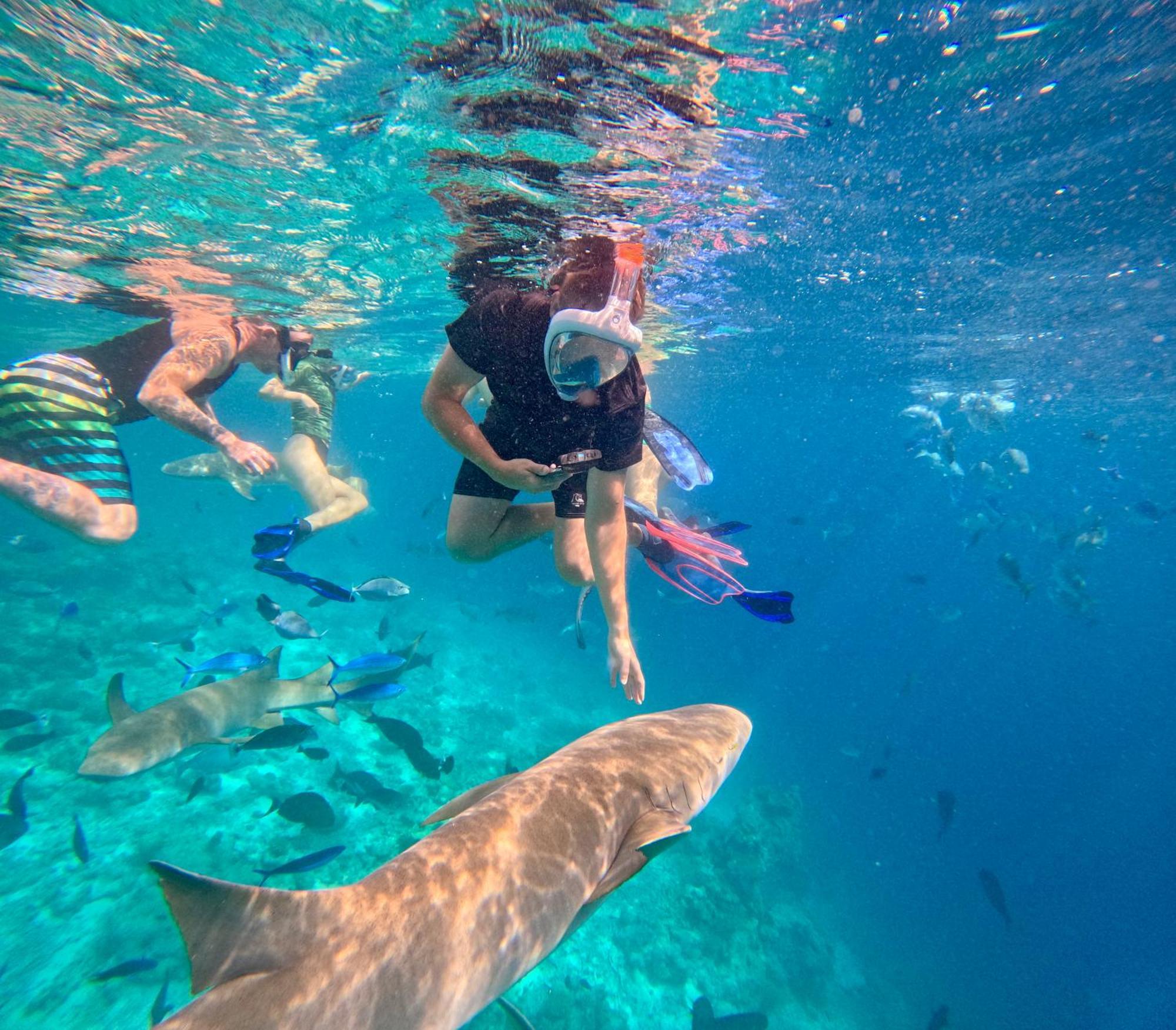 Lagoon Villa Maldives Thoddoo Bagian luar foto