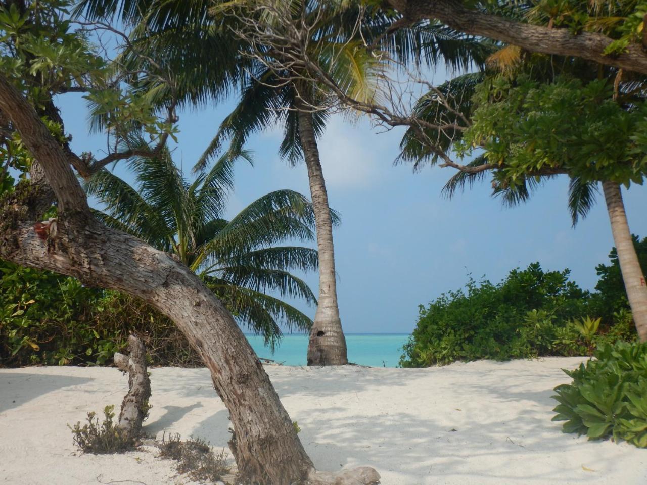 Lagoon Villa Maldives Thoddoo Bagian luar foto